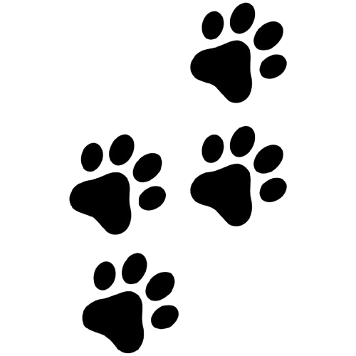 black cat paw prints